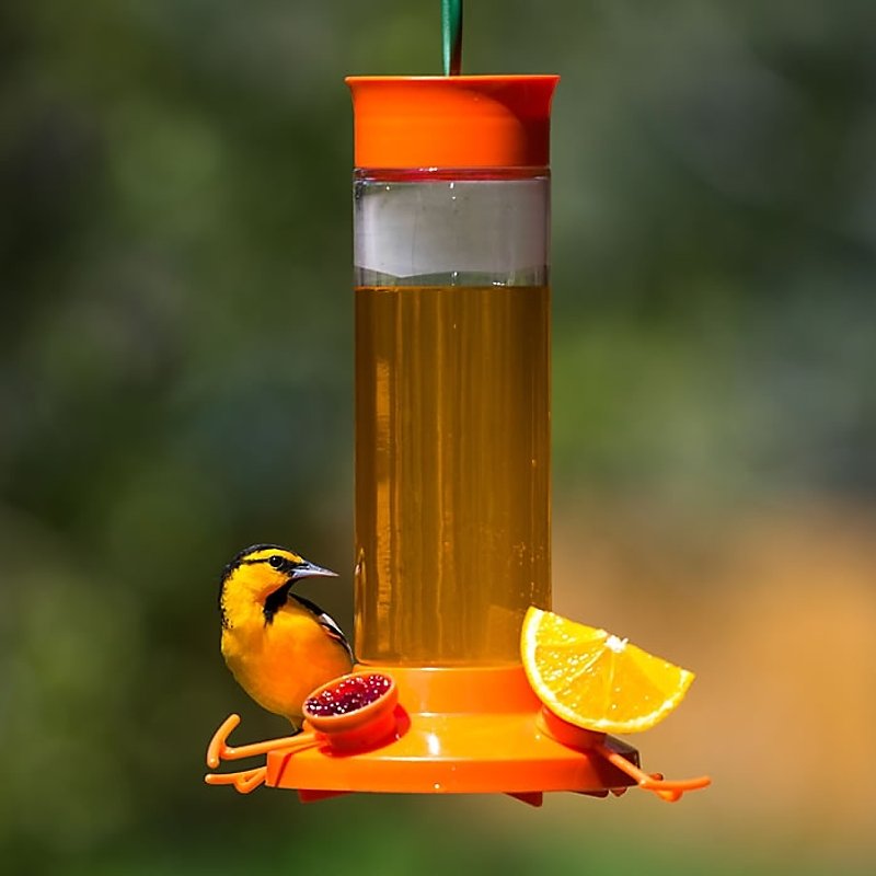Alternate view