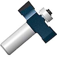 Alternate view