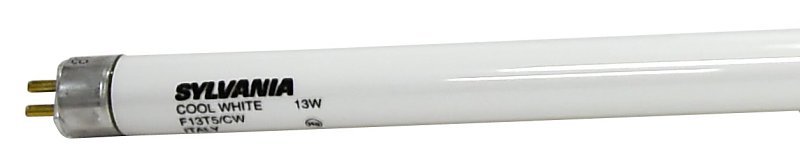 Alternate view