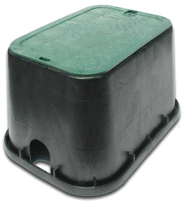 Alternate view