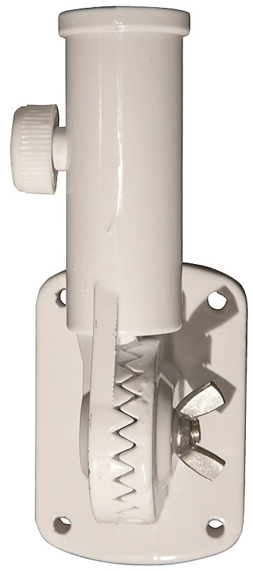 Alternate view