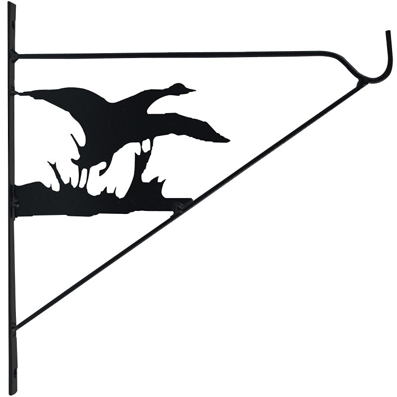 Alternate view