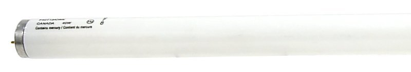 Alternate view