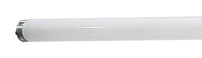 Alternate view