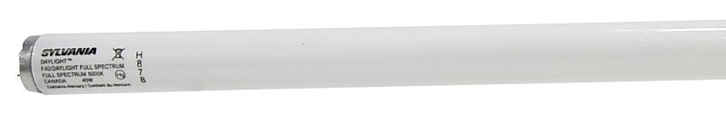 Alternate view