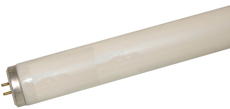 Alternate view