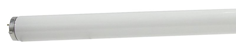 Alternate view