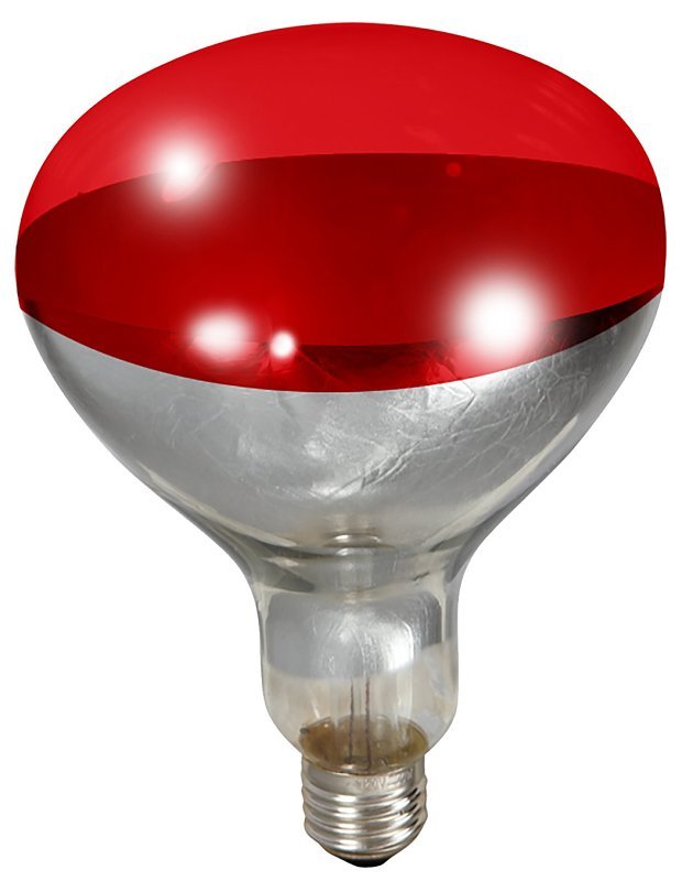 Alternate view
