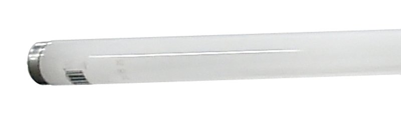 Alternate view