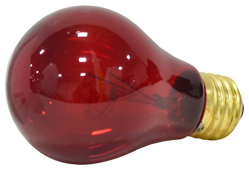 Alternate view