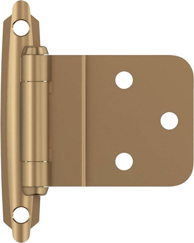 Alternate view
