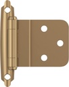 Alternate view
