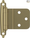 Alternate view