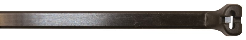 Alternate view