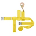 Alternate view