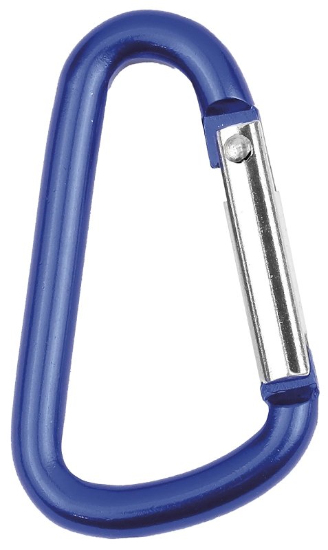 Alternate view