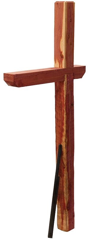 Alternate view