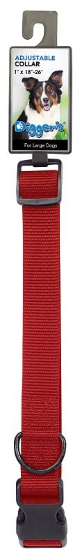 Alternate view