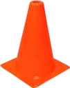 Alternate view