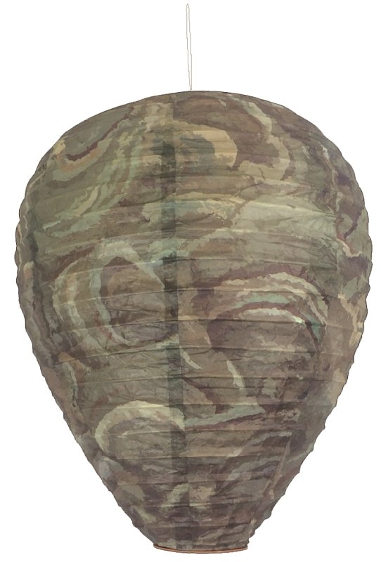 Alternate view
