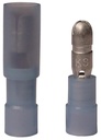 Alternate view