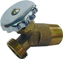 Alternate view