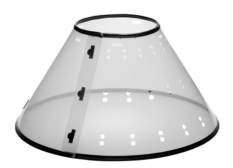Alternate view