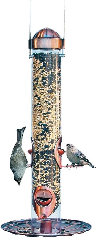 Alternate view