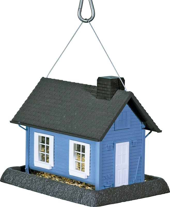 Alternate view