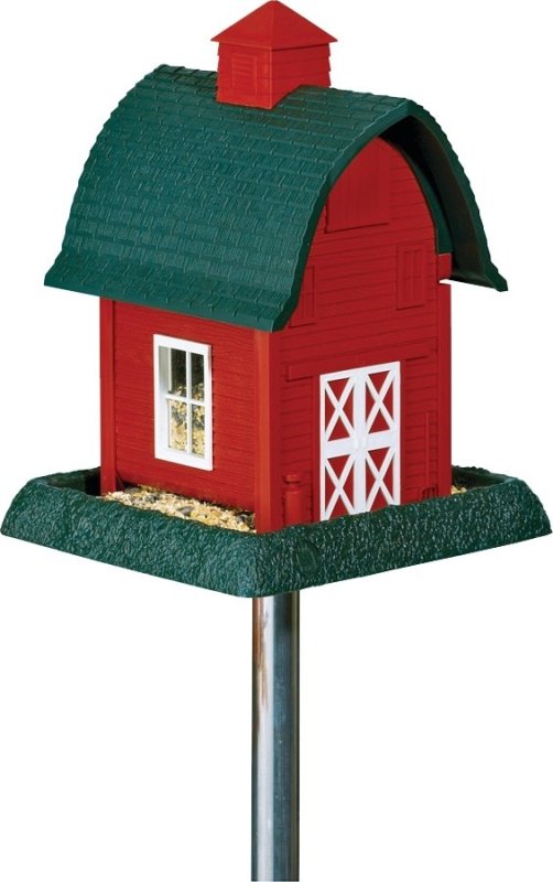 Alternate view