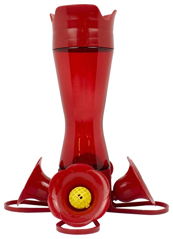 Alternate view