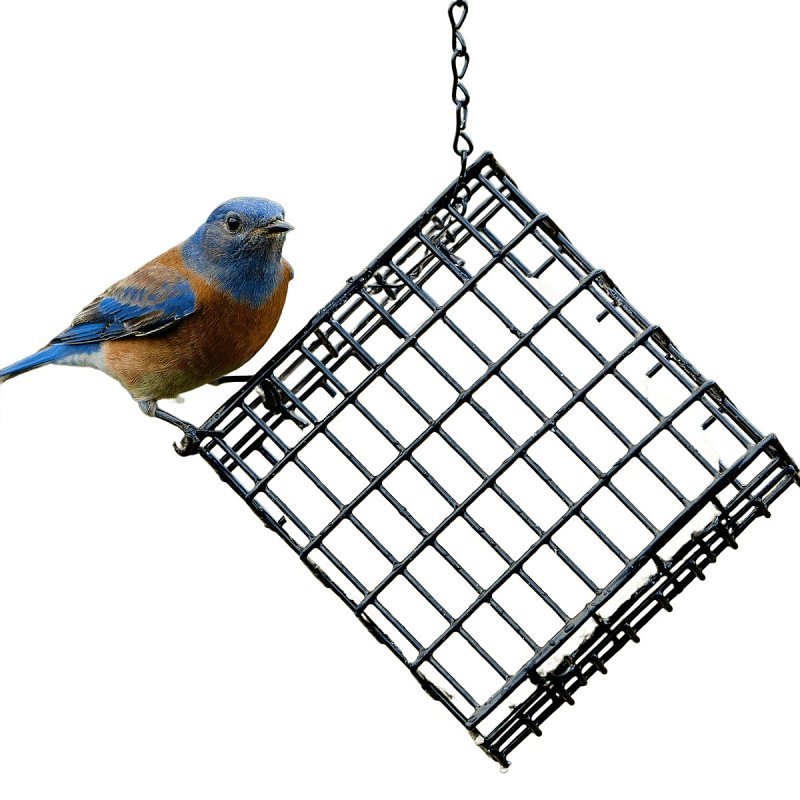 Alternate view