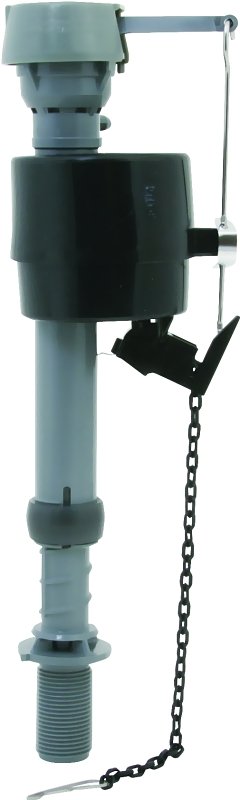 Alternate view