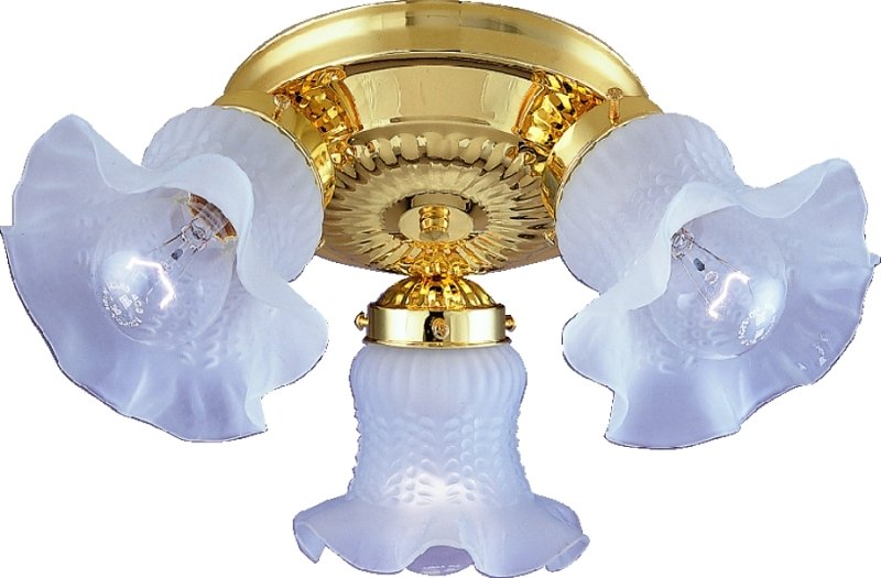 Alternate view