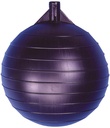 Alternate view