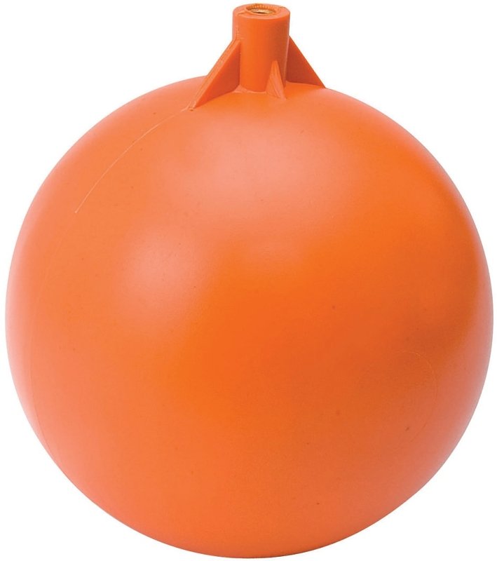 Alternate view