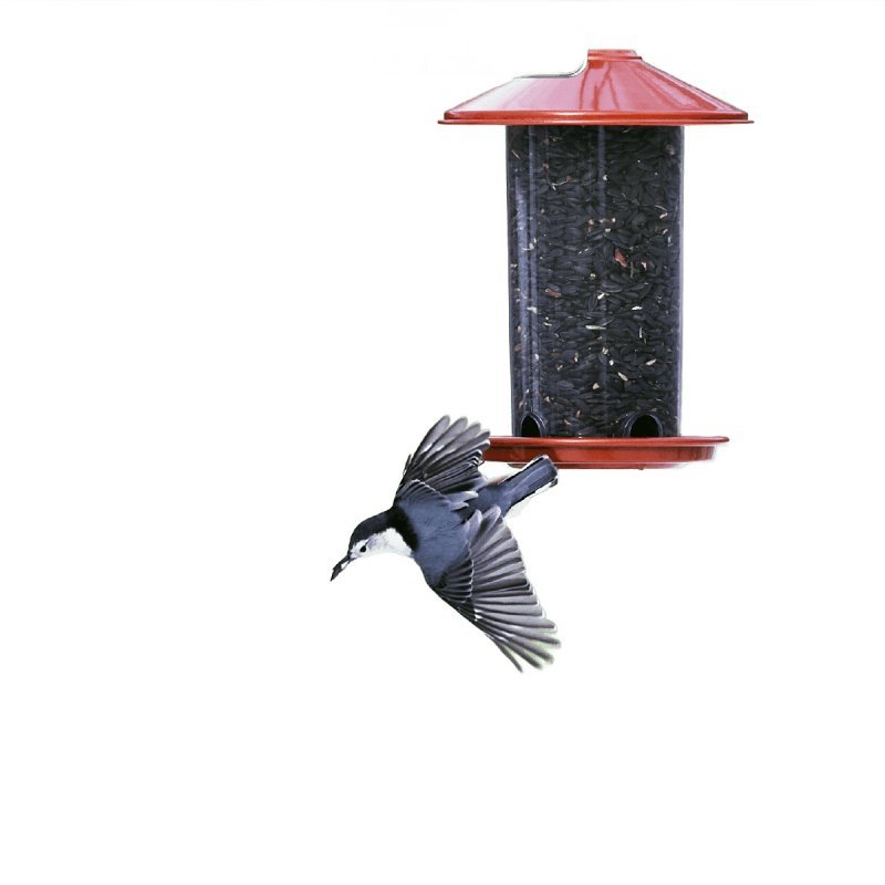 Alternate view