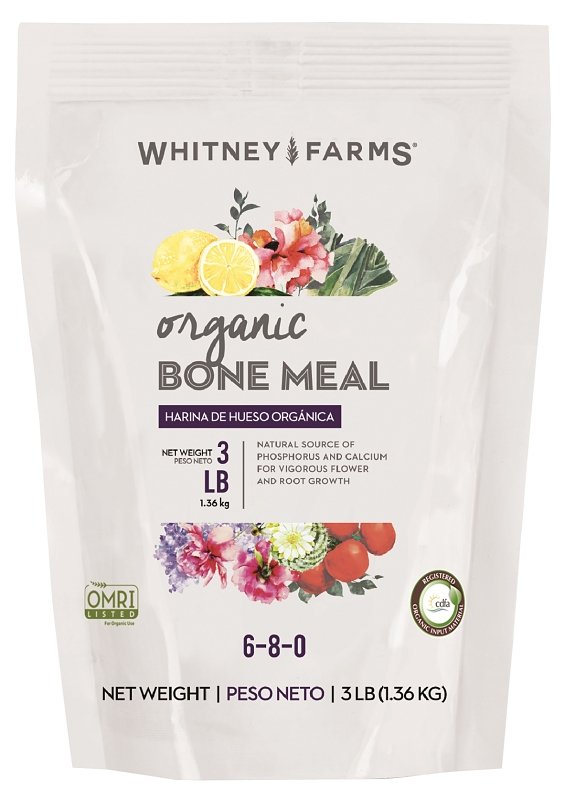 Alternate view