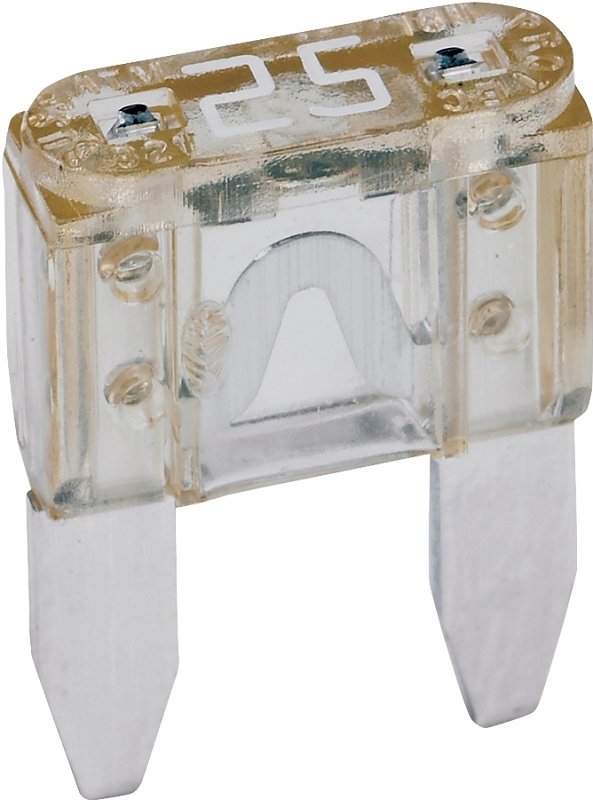 Alternate view