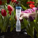 Alternate view