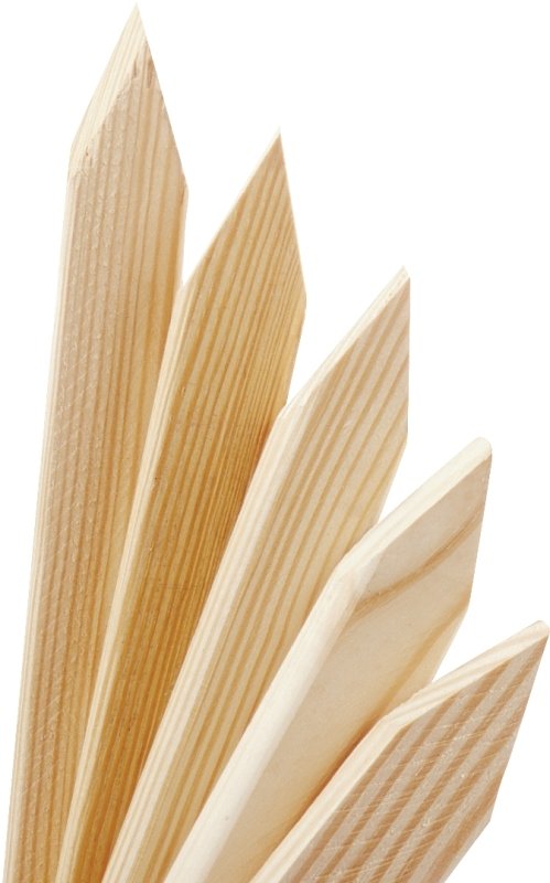 Alternate view