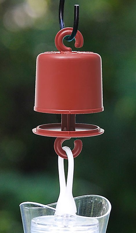 Alternate view