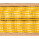 Alternate view