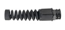 Alternate view