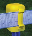 Alternate view