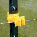 Alternate view