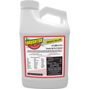 Alternate view