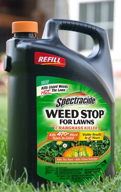 Alternate view