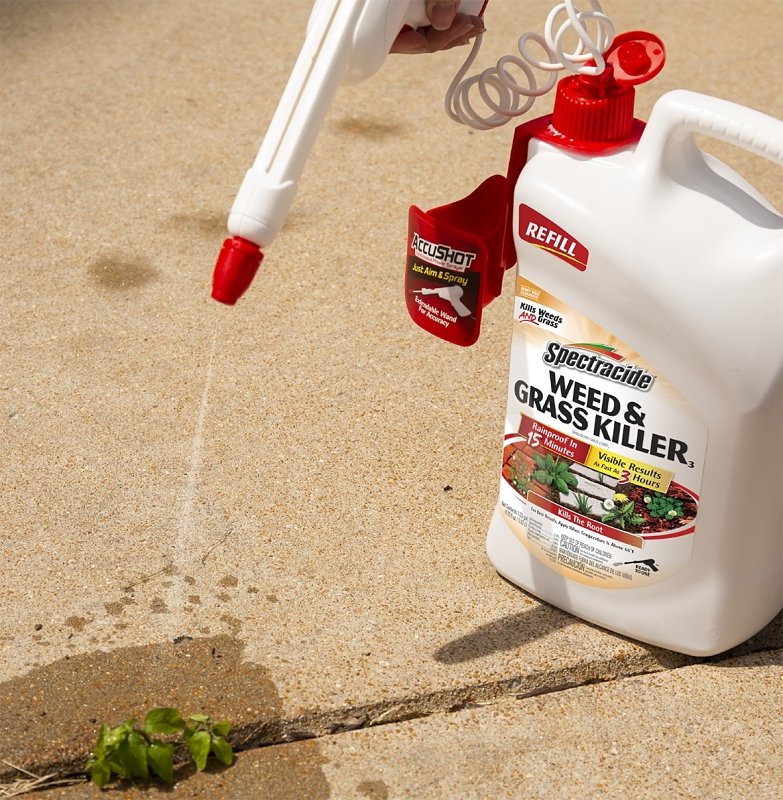 Alternate view
