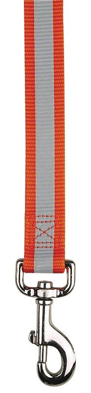 Alternate view